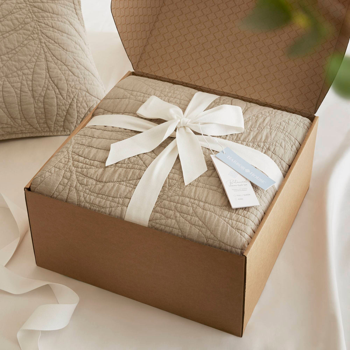 26289254