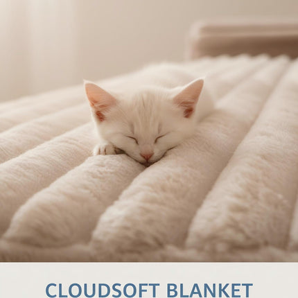24744893