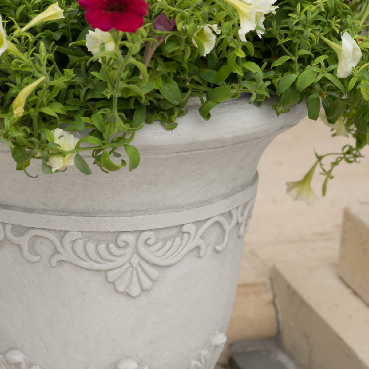 26543376