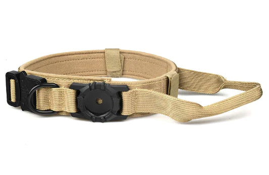 Metal Buckle Dog Collar - Eloy Royal