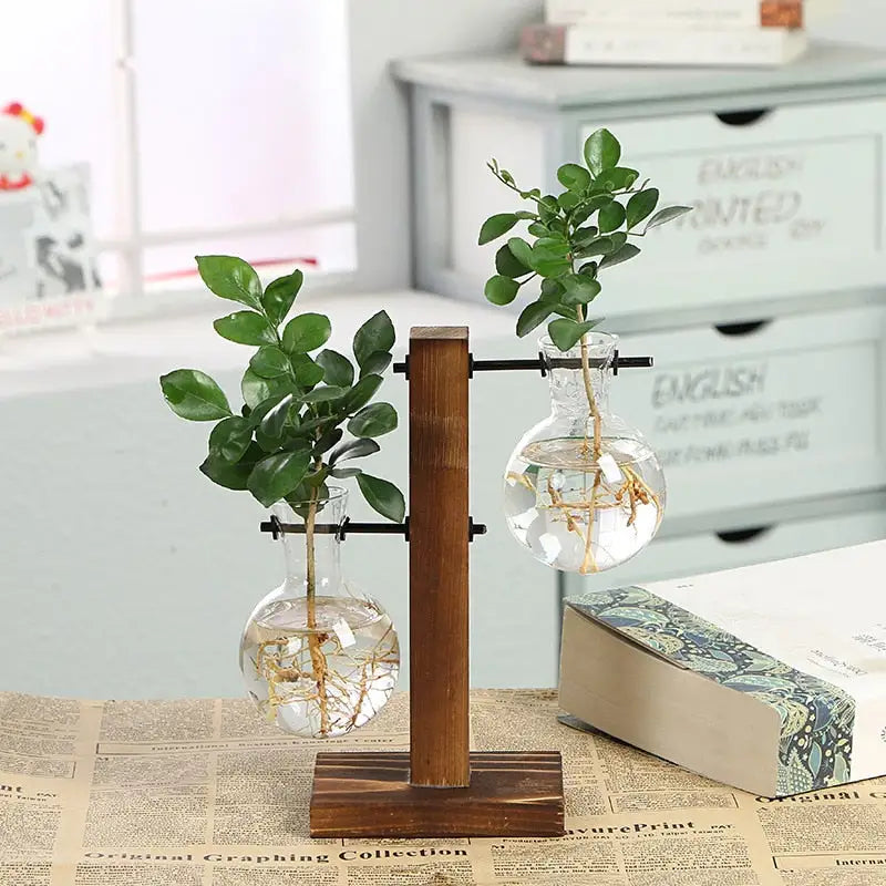 Transparent Plant Vases - Eloy Royal