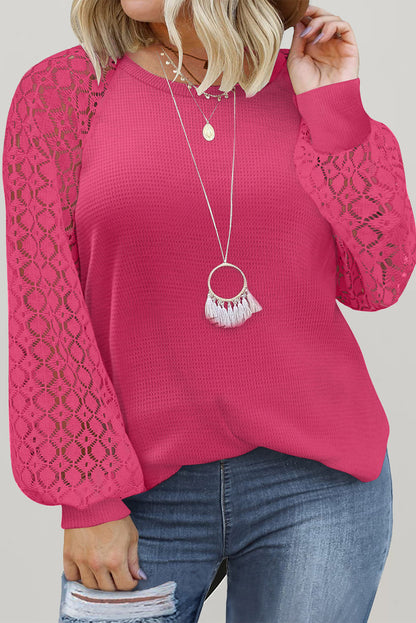 Strawberry Pink Plus Size Contrast Lace Sleeve Waffle Knit Top - Eloy Royal