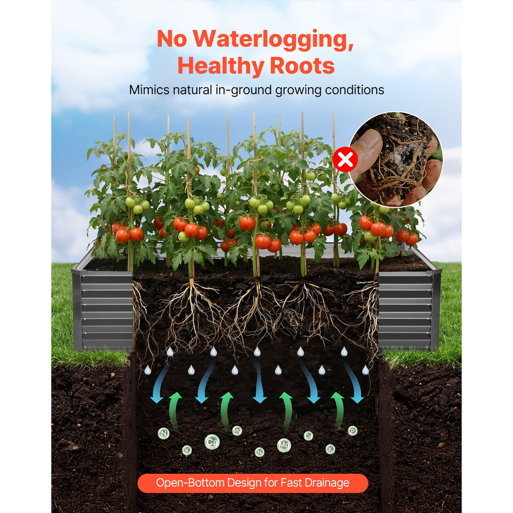 26538394