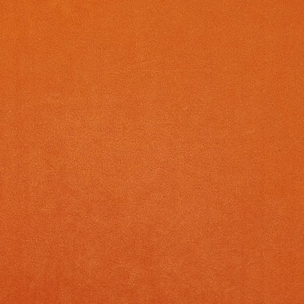 24893021