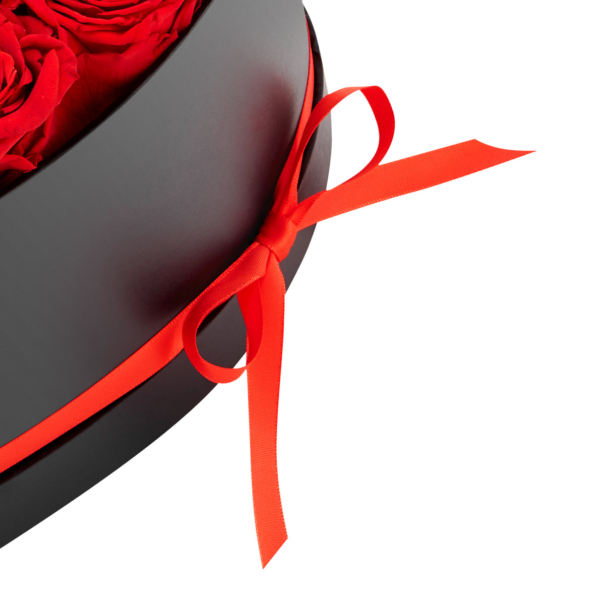 26281430