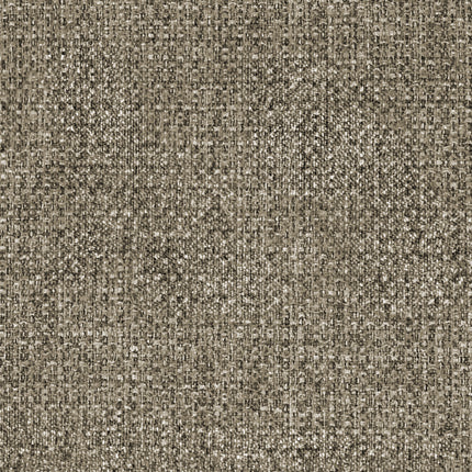 24894987