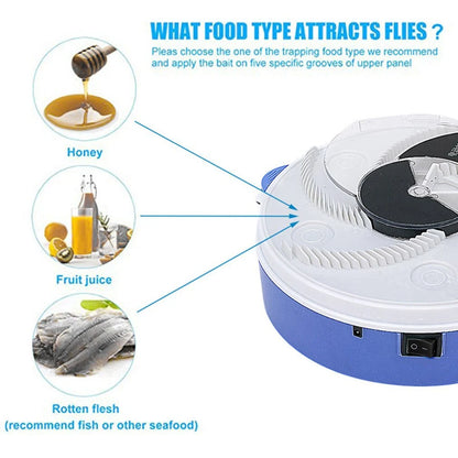 Baby Safe Electric Flycatcher - Eloy Royal