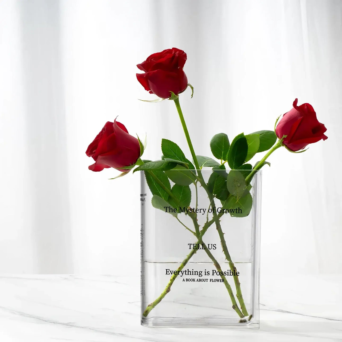 Transparent Book Vase - Eloy Royal