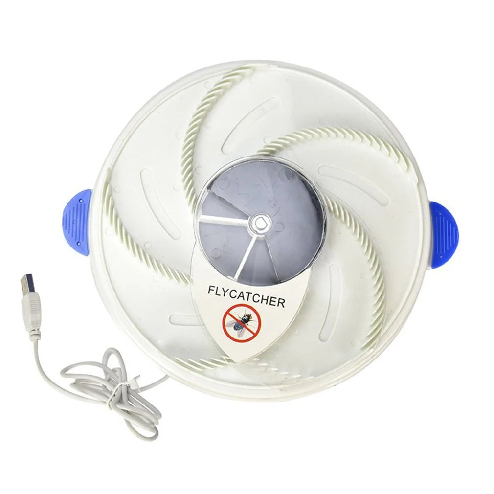 Baby Safe Electric Flycatcher - Eloy Royal