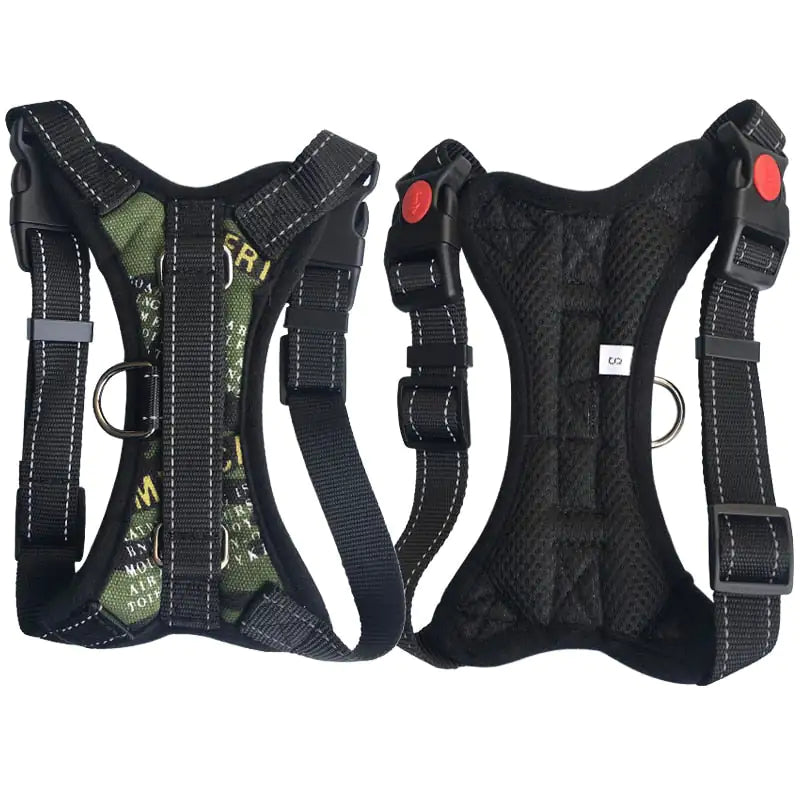 Pet Walking Harness: Adjustable Comfort - Eloy Royal