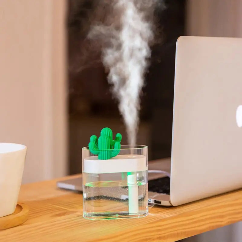 Clear Cactus Humidifier - Eloy Royal