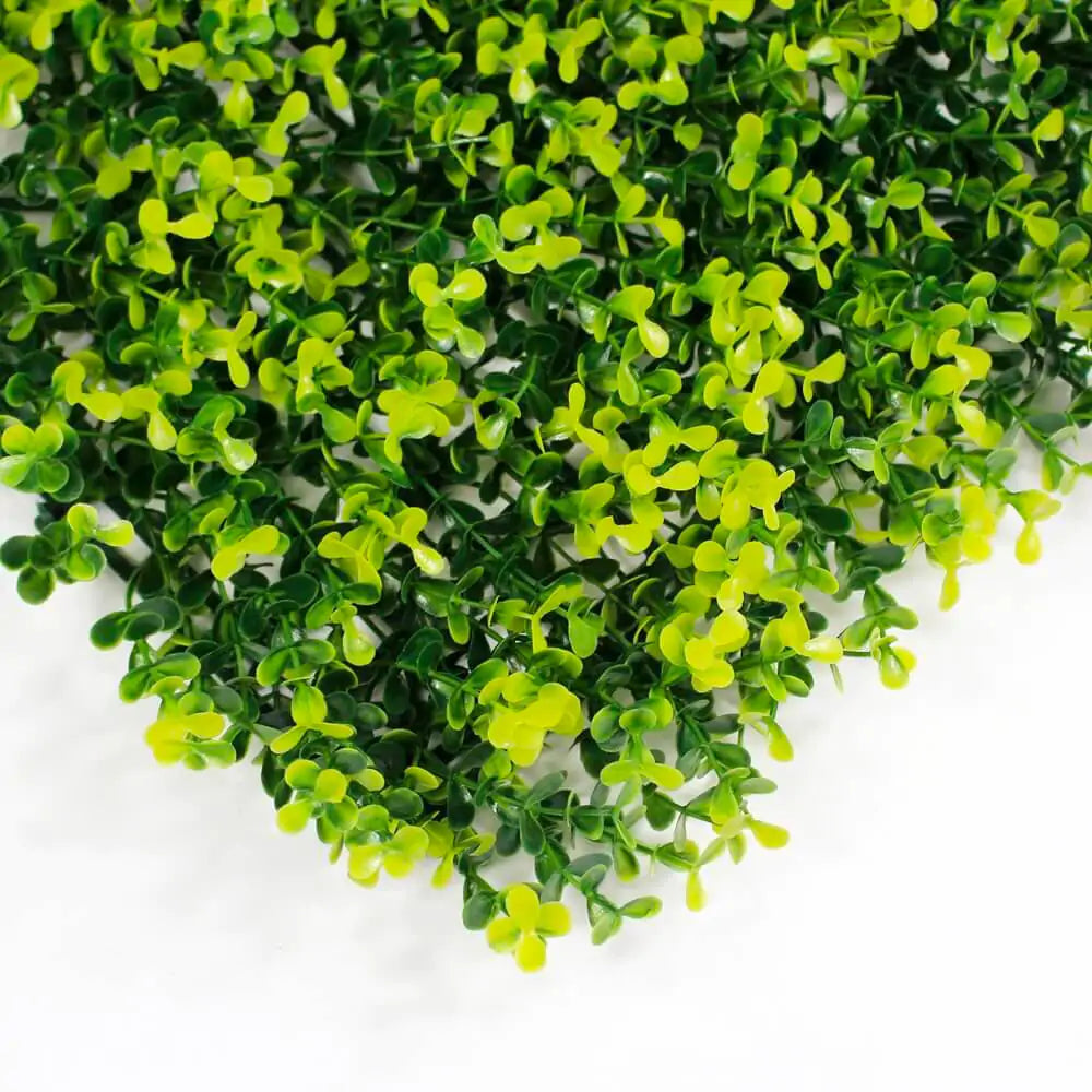 Yellow Buxus Green Wall 33 square foot UV Protected