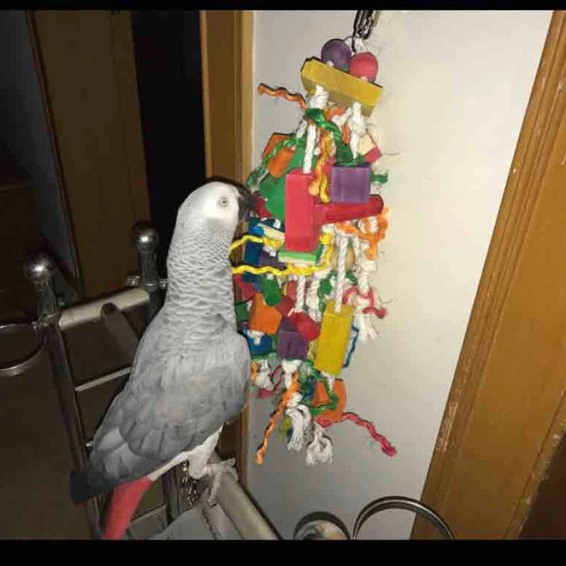 Bird Toys, Parrot Chewing Toy, Multicolored Wooden Blocks Tearing Toys for African Grey Cockatiel Conure Cockatoo and Medium Ama - Eloy Royal