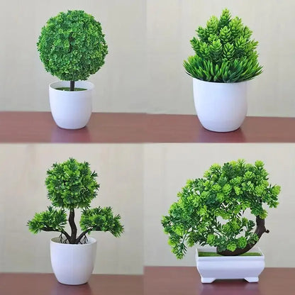 Small Bonsai Tree - Eloy Royal