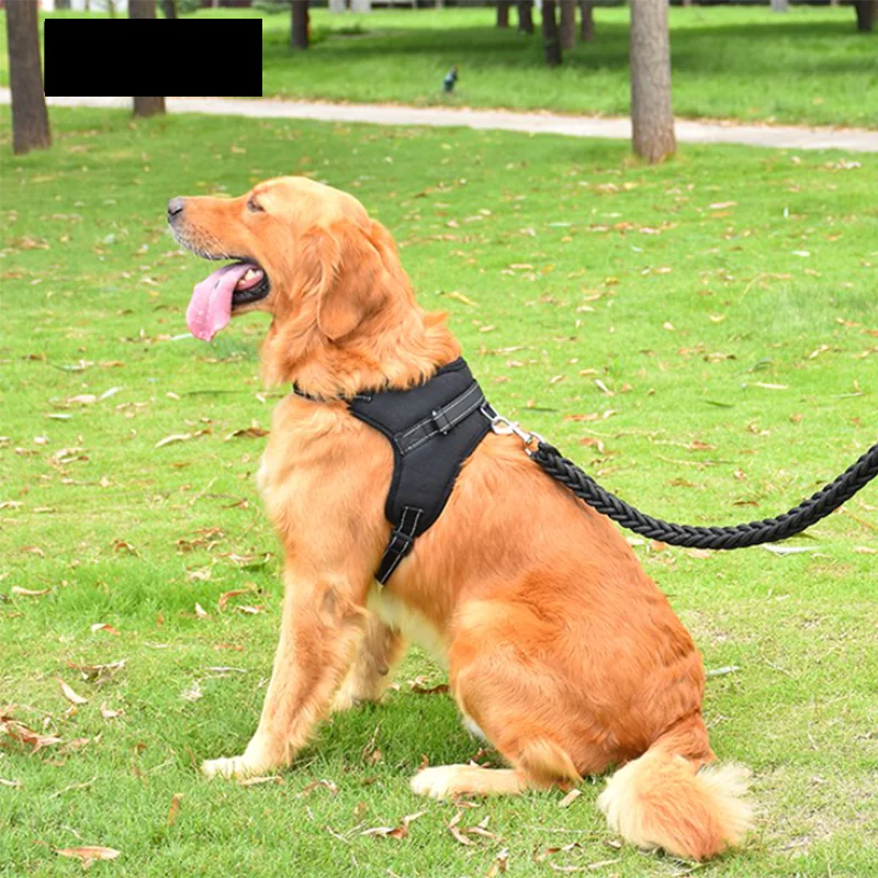 Pet Walking Harness: Adjustable Comfort - Eloy Royal