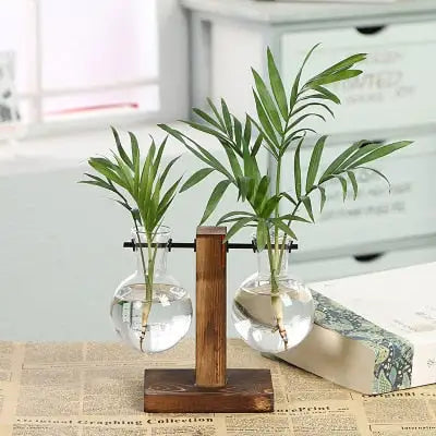 Transparent Plant Vases - Eloy Royal