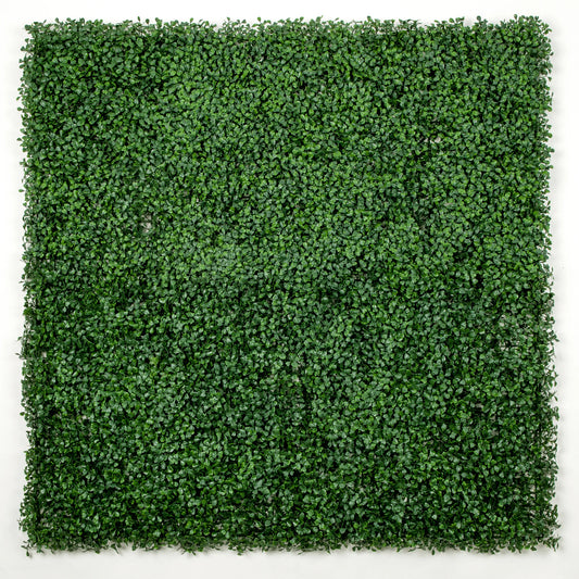 Dark Artificial Boxwood Wall 40" x 40" 11SQ FT