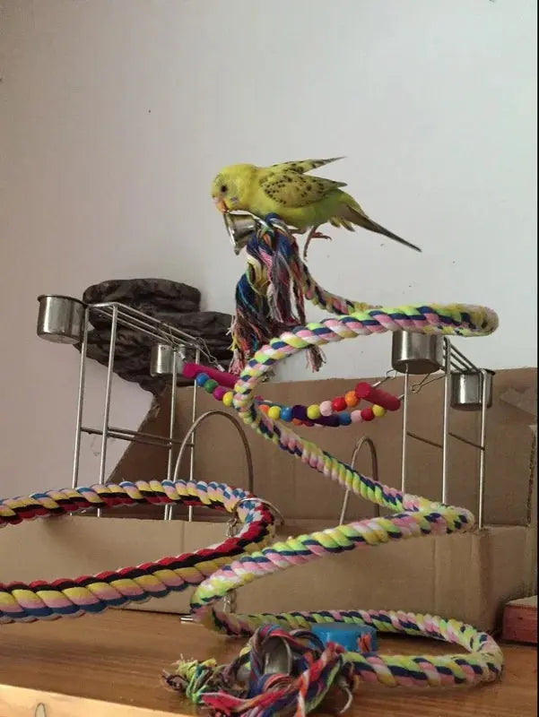 New 160cm Long Parrot Bird Toys Pet Bird Parrot Standing Rope Bird Cage Decoration Climbing Toy Parrot Bird Cage Toys Rope Bell - Eloy Royal