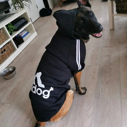 Dog Hoodies - Eloy Royal