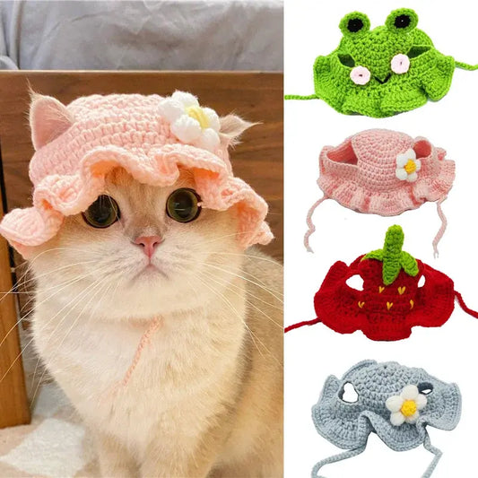 Cute Refined Pet Hat - Eloy Royal