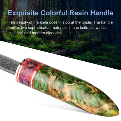 Fixed blade Hunting Knife Handmade forged Damascus Steel camping knife blade Portable survival Tactical Knives Leather sheath - Eloy Royal