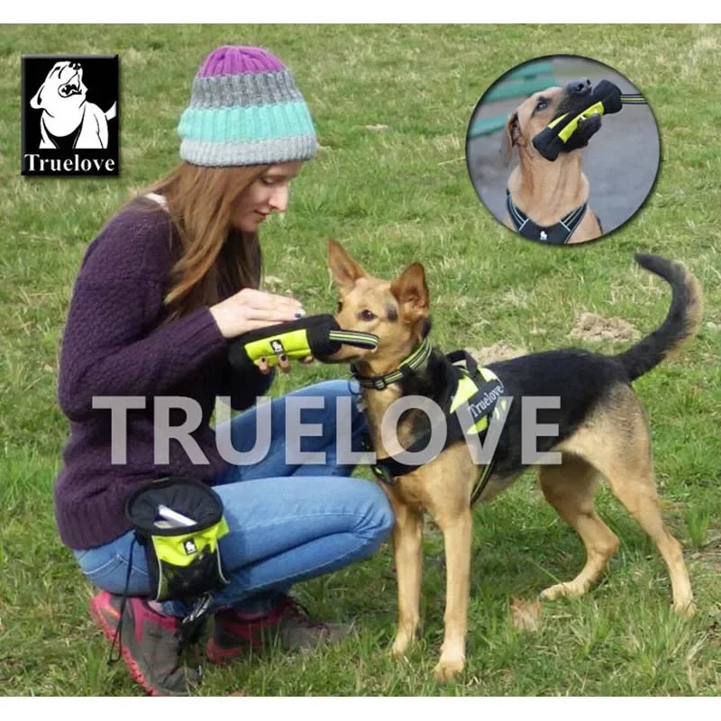 Truelove Feed Dummy Dog Pet Treat Bag Reflective Dog Training Carry Treats Dog Toys Pet Feed Pocket Pouch Poop Bag Dispenser - Eloy Royal