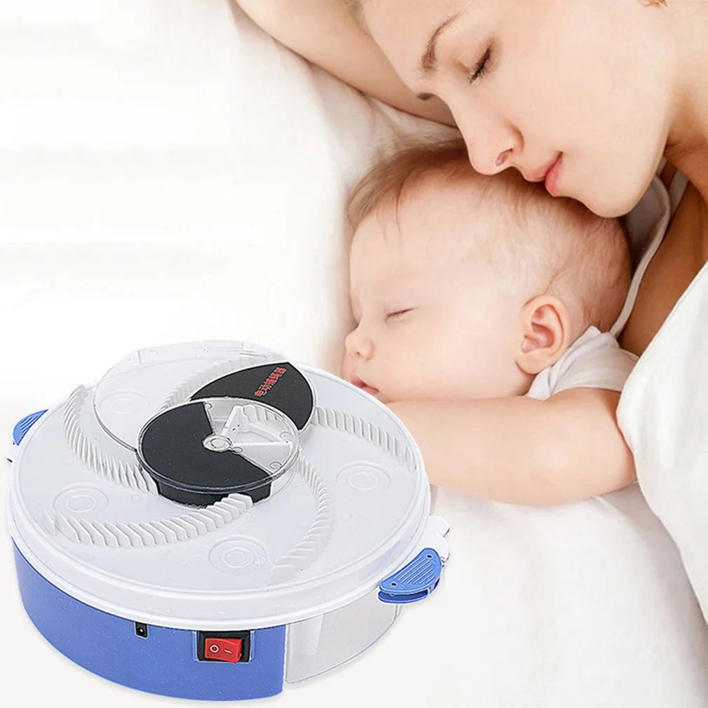 Baby Safe Electric Flycatcher - Eloy Royal