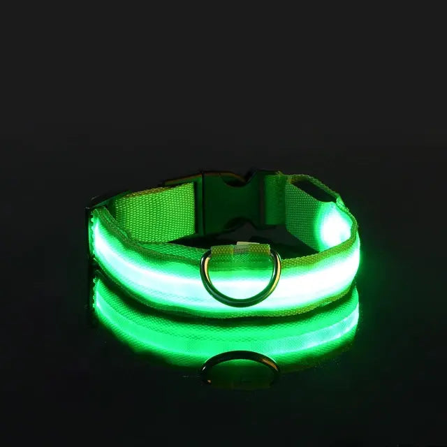 Flashing Glow Dog Collar - Eloy Royal