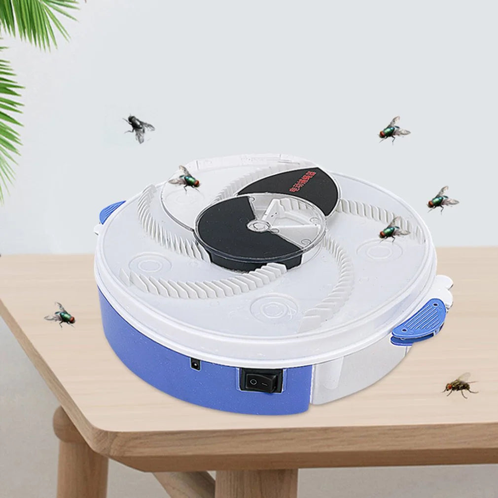 Baby Safe Electric Flycatcher - Eloy Royal