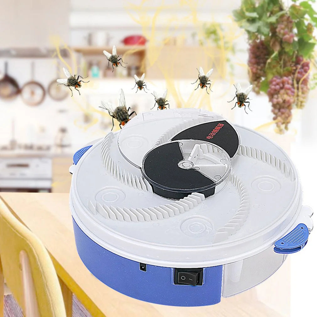 Baby Safe Electric Flycatcher - Eloy Royal