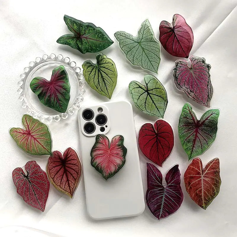 Leaf Acrylic Phone Holder - Eloy Royal