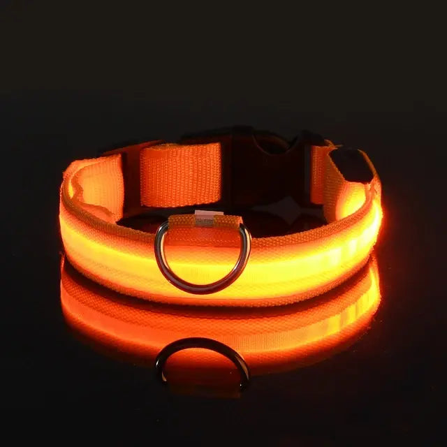 Flashing Glow Dog Collar - Eloy Royal