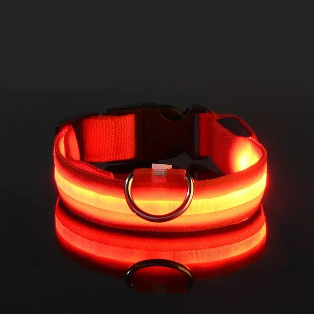 Flashing Glow Dog Collar - Eloy Royal