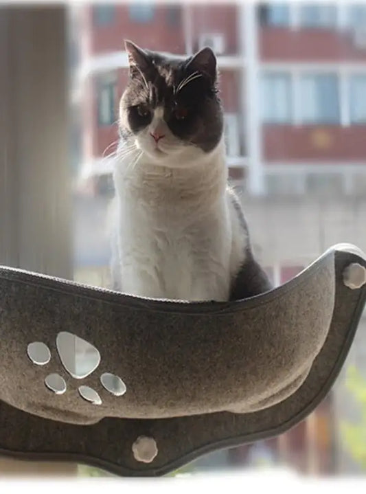 Cat Window Hammock - Eloy Royal