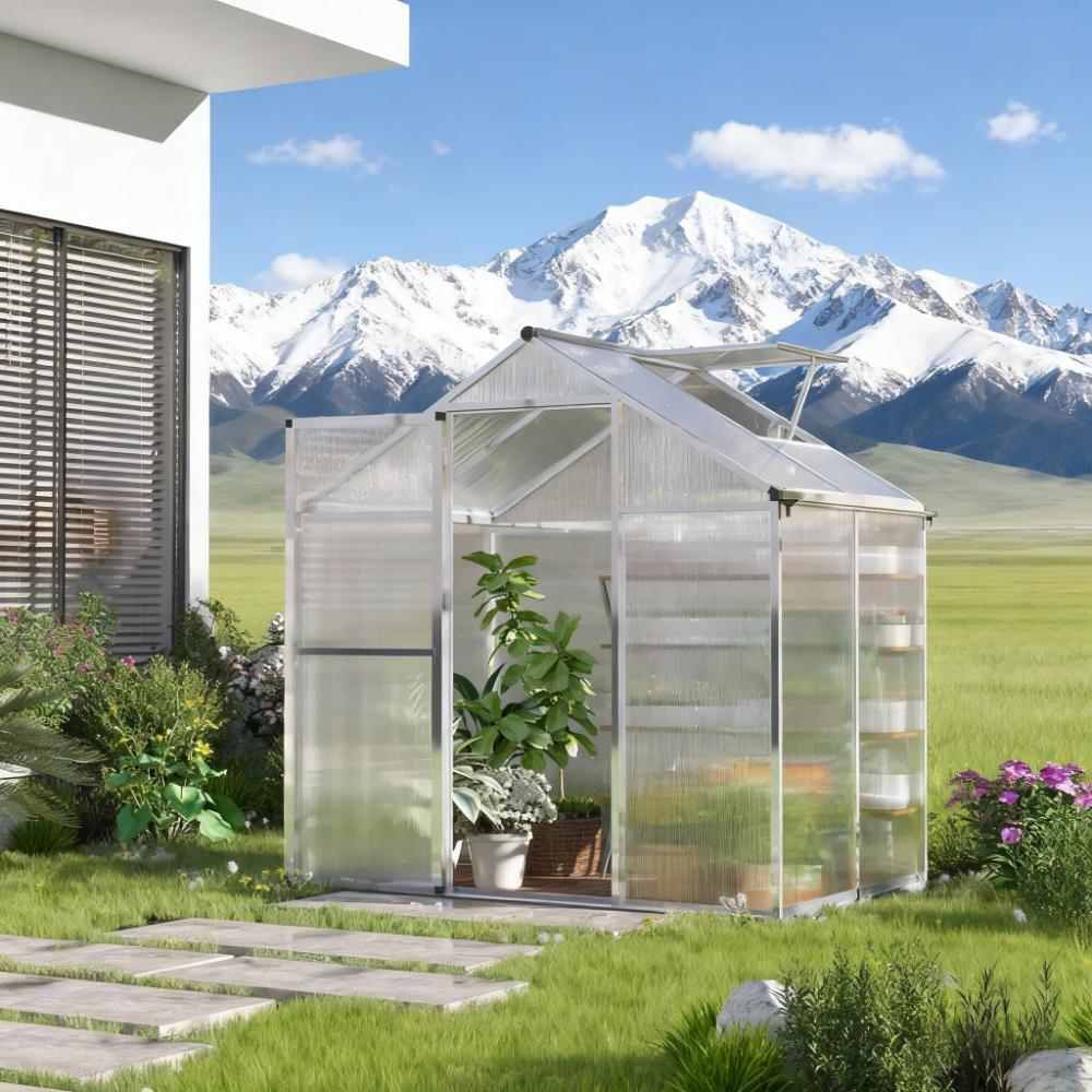 Greenhouse 4' L x 6' W Greenhouse for Winter