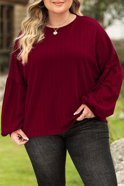 Ruby Plus Size Balloon Sleeve Textured Knit Top - Eloy Royal