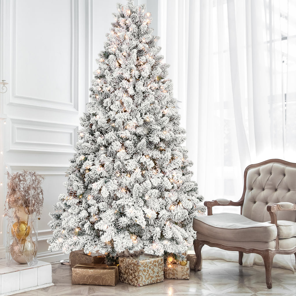 26278529