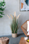 D14x45'H Potted Pampas Grass Plant