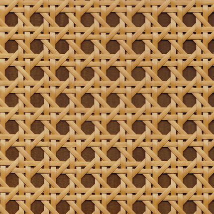 24895036