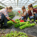 Weed Barrier Fabric,Weed Barrier Landscape Fabric,Duty Woven Weed Control Fabric for Landscaping