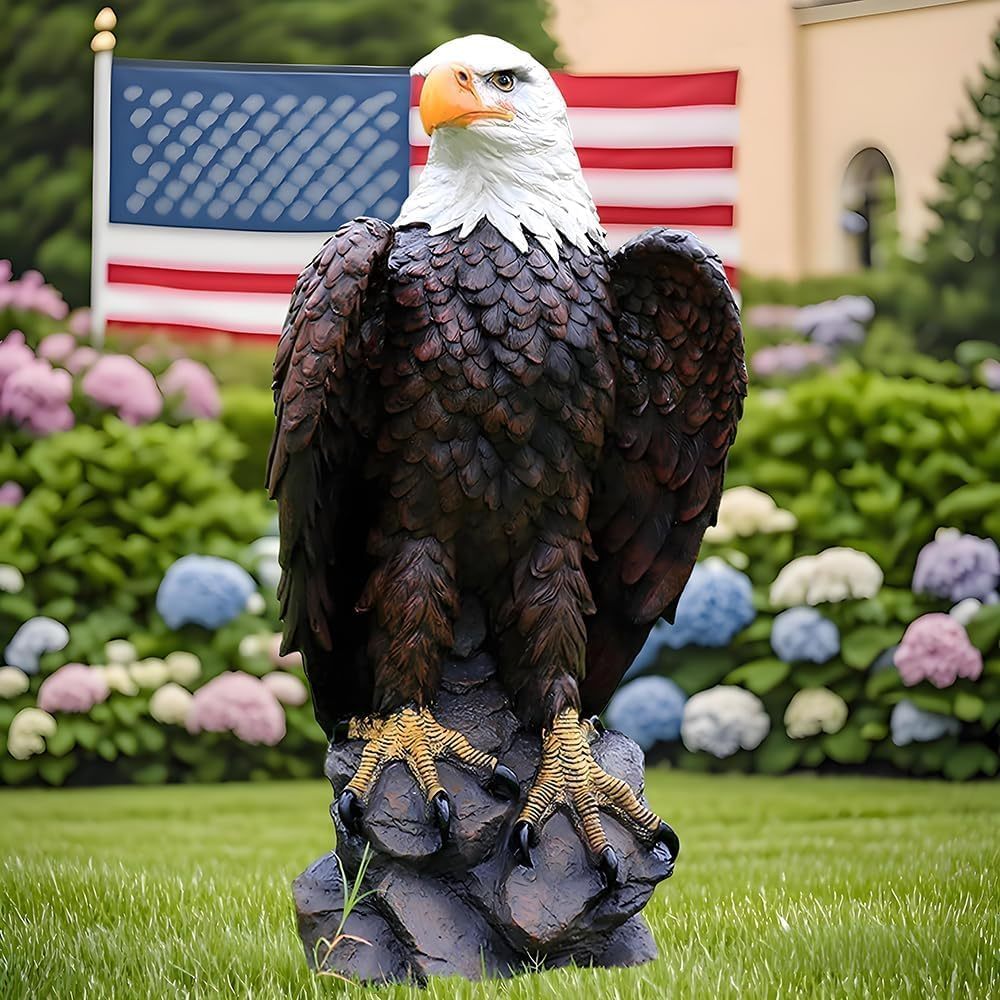 26531881