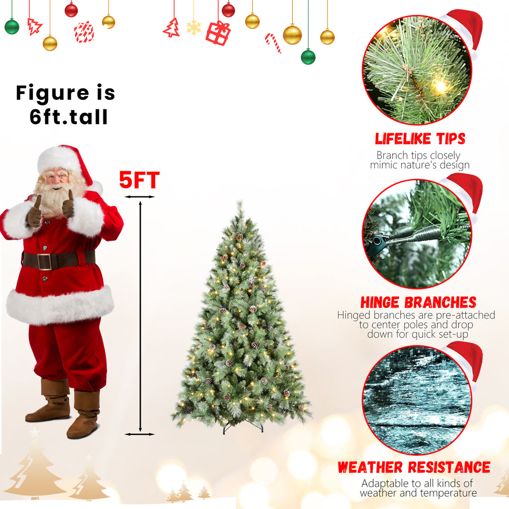 26278423