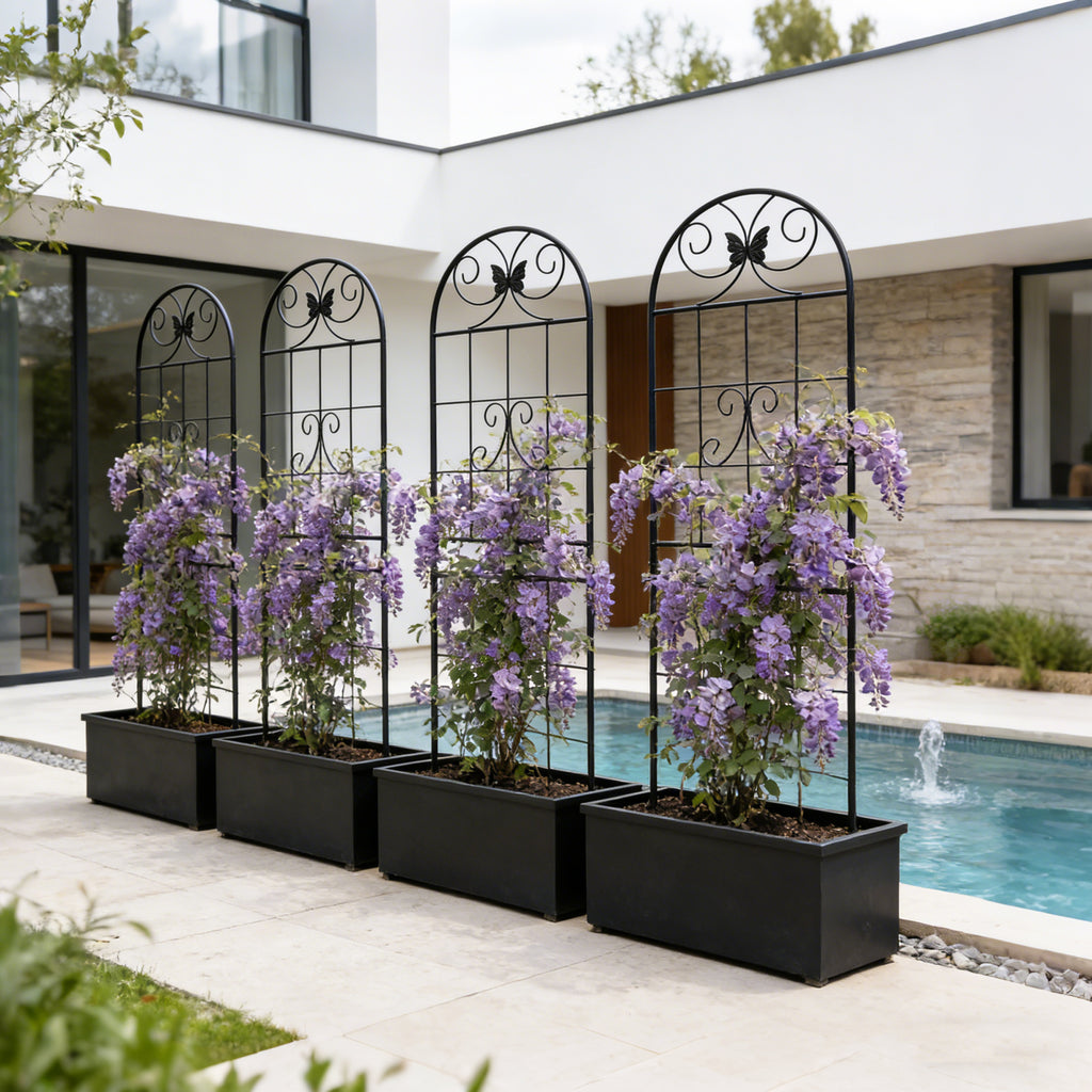 26545033