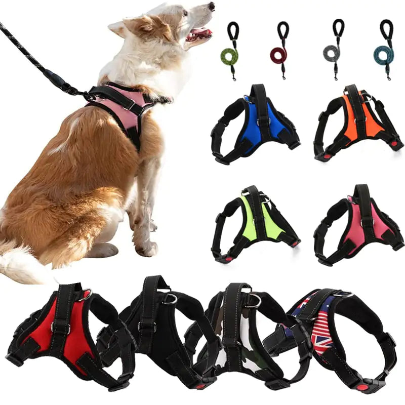 Pet Walking Harness: Adjustable Comfort - Eloy Royal