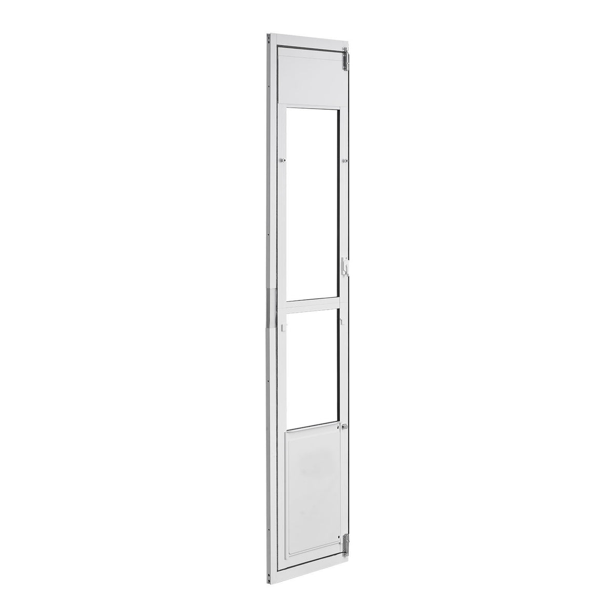 26296048