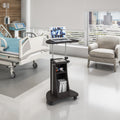 Sit-to-Stand Rolling Adjustable Height Laptop Cart With Storage, Graphite