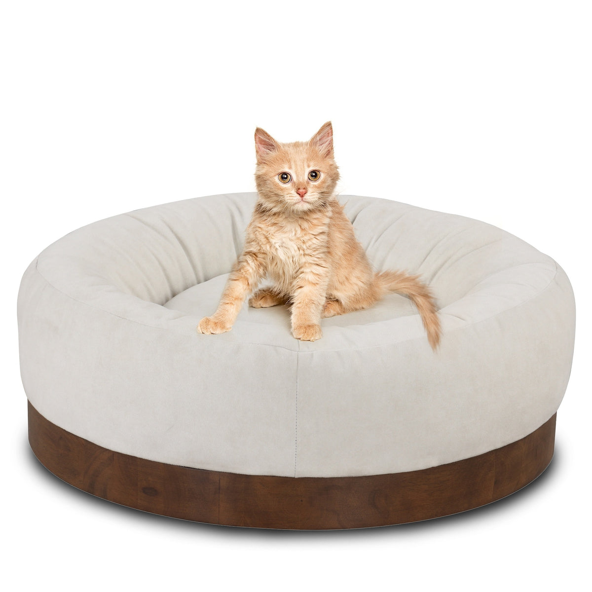 Relaxing Modern Pet Bed Calming Plush Padding Bent-Wood Trim Furniture 1pc, Cat Bed, Dog Bed