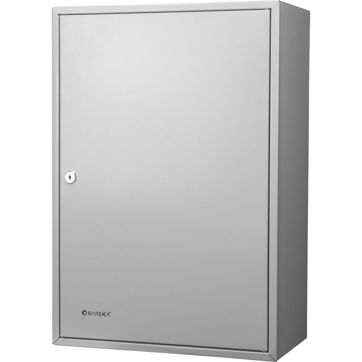 Adjustable Key Cabinet With Key Lock for Secure Storage, Gray Steel, 300-Key Capacity