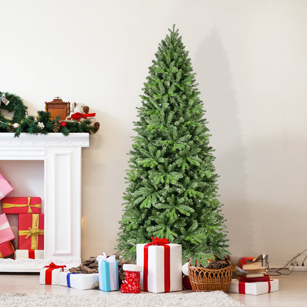 26280131