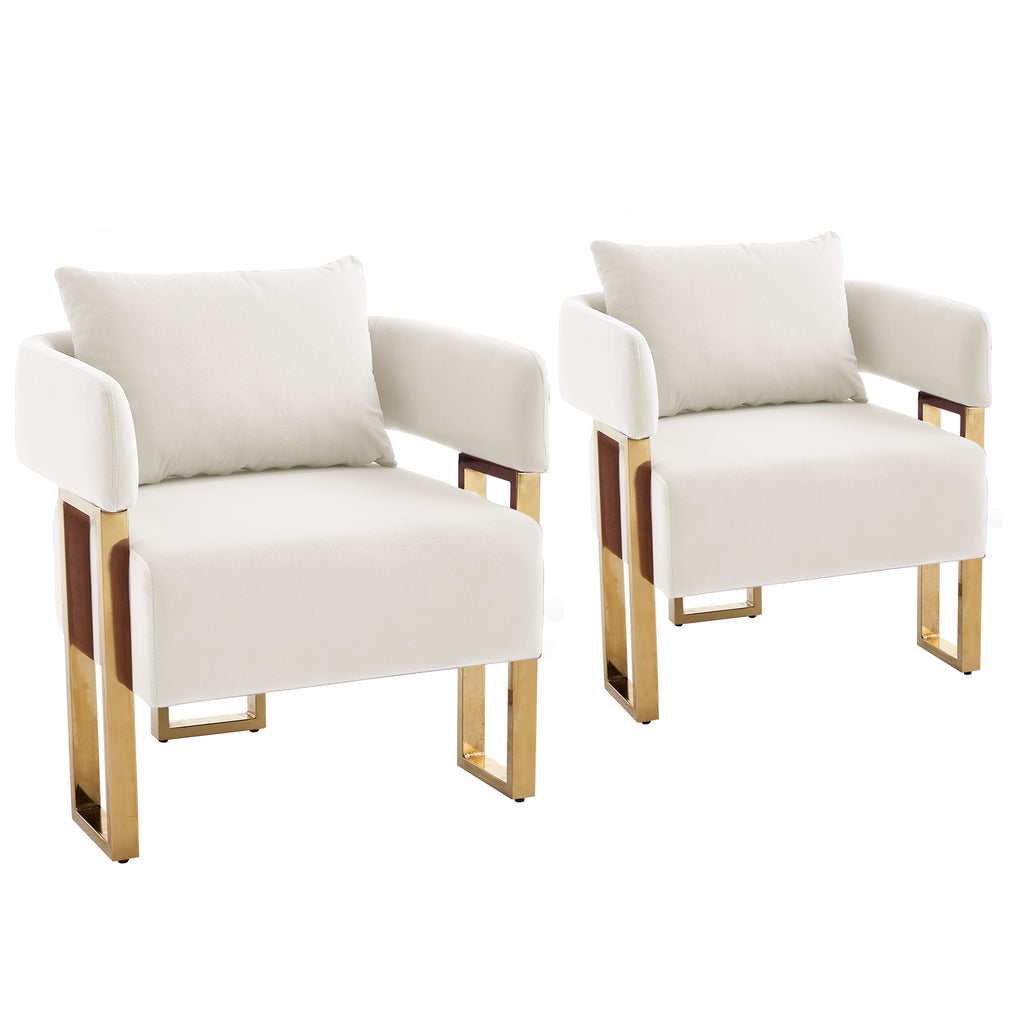 TS Modern Decorative Chair with Gold Metal Legs, White Velvet Fleece Upholstered Side Chair for Living Room, Dressing Area, Reception Room, Office, 2PCS
